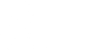 En Asil Safkanlar