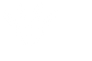 200.000 Ton Sertifikalı Tohumluk