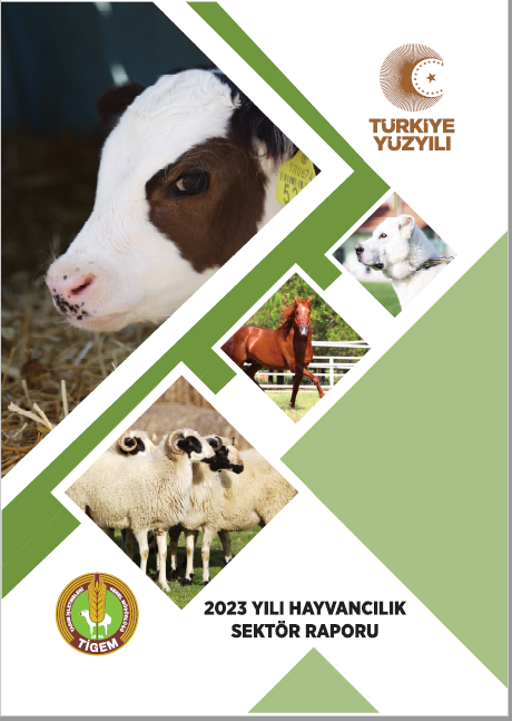 Hayvancılık