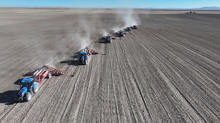 MALYA TARIM İŞLETMESİNDE KURAKLIĞA KARŞI DAYANIKLI HUBUBAT ÜRETİMİ YAPILDI
