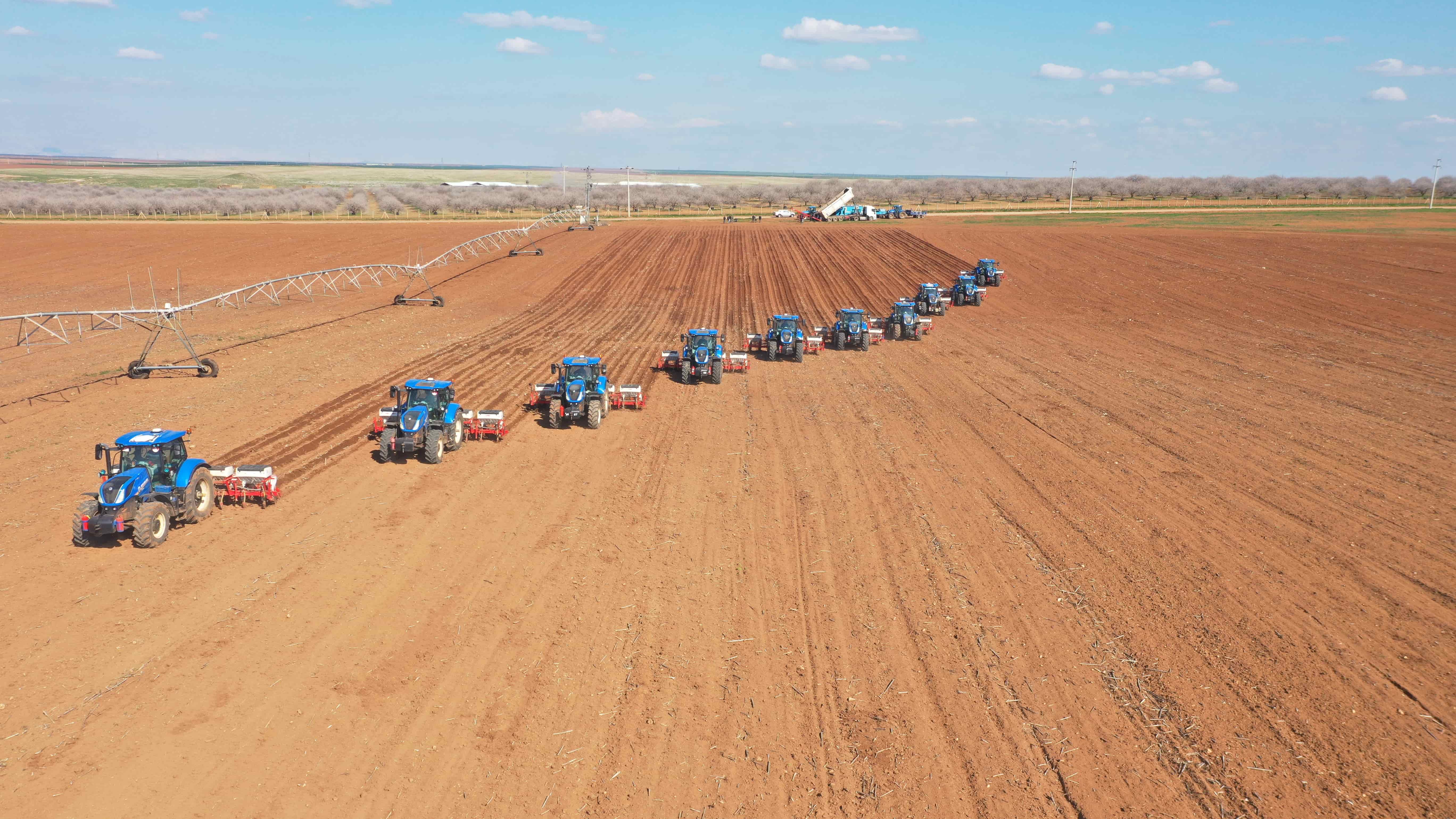 CEYLANPINAR TARIM İŞLETMESİNDE 1. ÜRÜN DANE MISIR EKİLİŞLERİ TAMAMLANDI