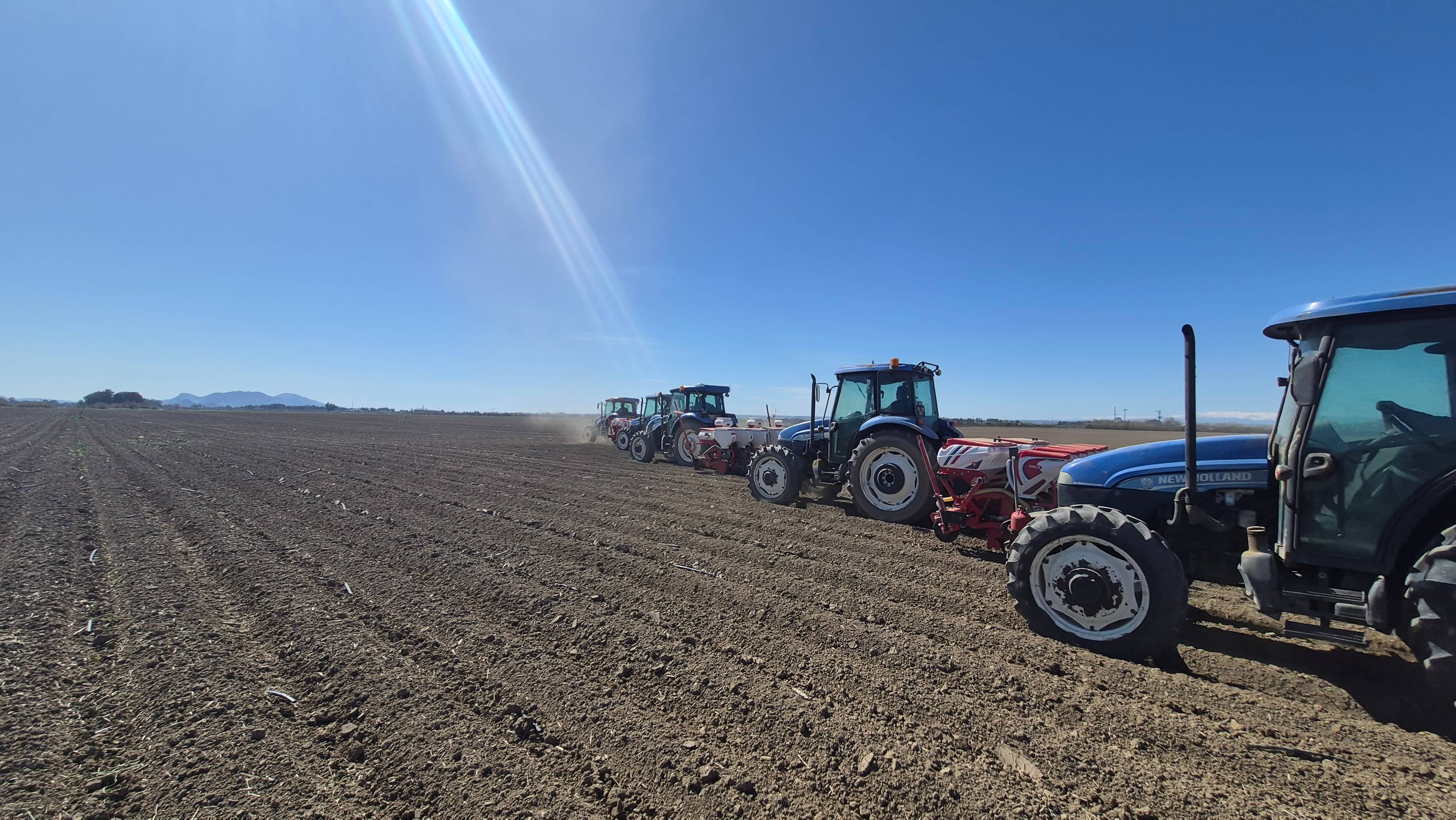 ÇUKUROVA TARIM İŞLETMESİNDE YAZLIK EKİLİŞLER BAŞLADI