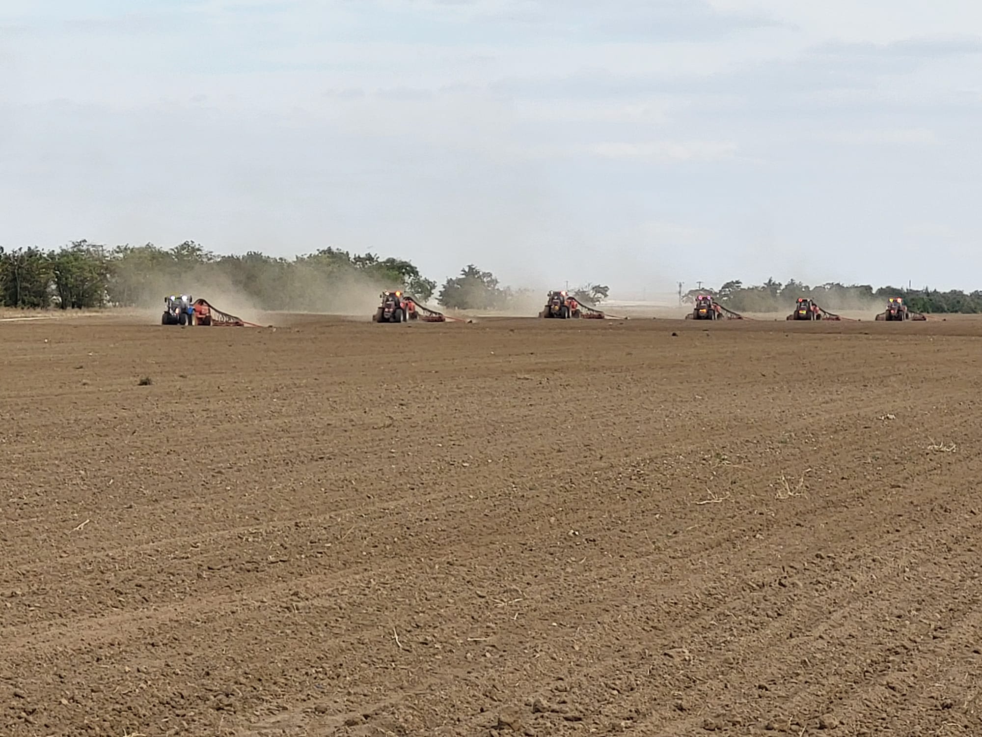 ALTINOVA TARIM İŞLETMESİNDE GÜZLÜK EKİLİŞLER DEVAM EDİYOR