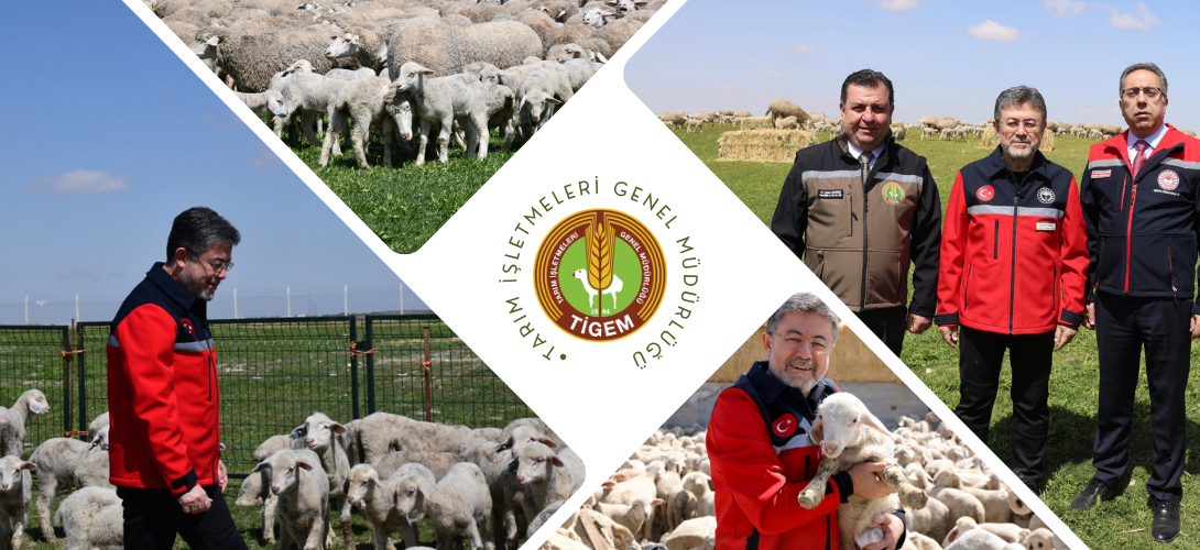 TARIM VE ORMAN BAKANI İBRAHİM YUMAKLI POLATLI TARIM İŞLETMESİNİ ZİYARET ETTİ