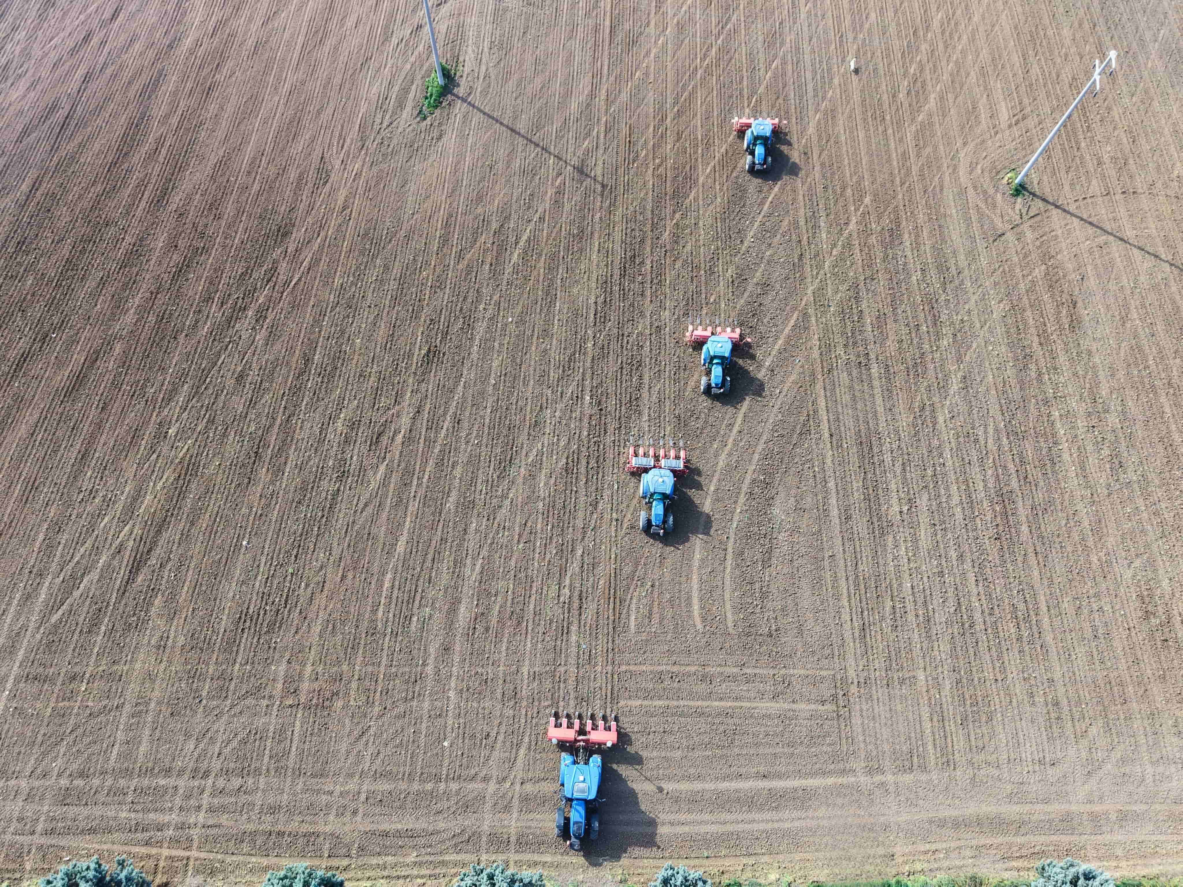 KARACABEY TARIM İŞLETMESİNDE 2026 YILI YAZLIK EKİLİŞ ÇALIŞMALARI BAŞLADI