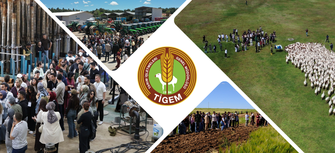 UTOK15 KAPSAMINDA ZİRAAT FAKÜLTESİ ÖĞRENCİLERİ CEYLANPINAR TARIM İŞLETMESİNDE