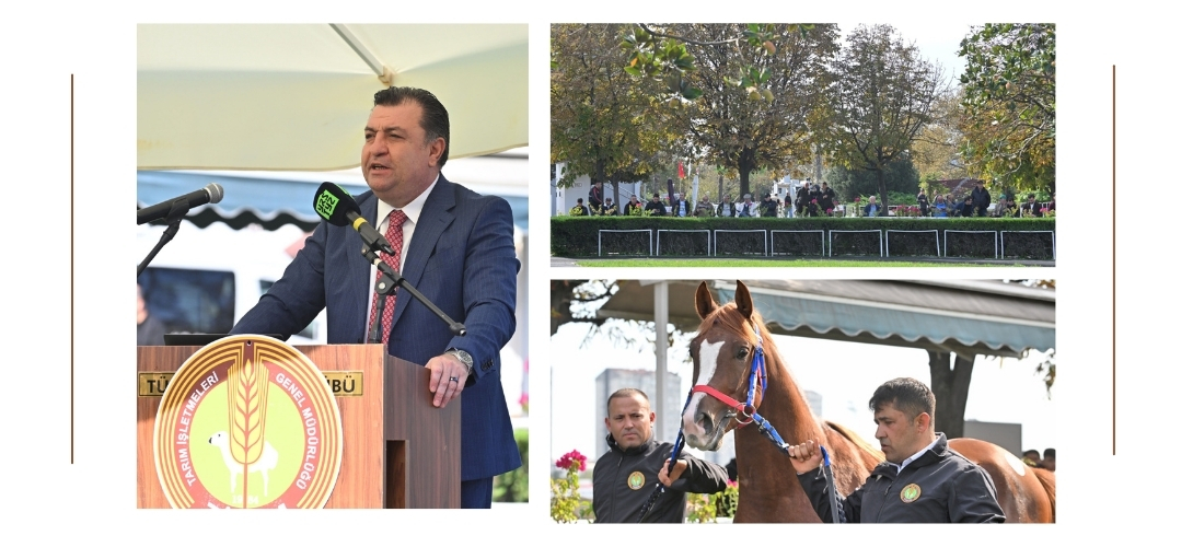 TİGEM 2026 YILI TAY SATIŞLARINI TAMAMLADI