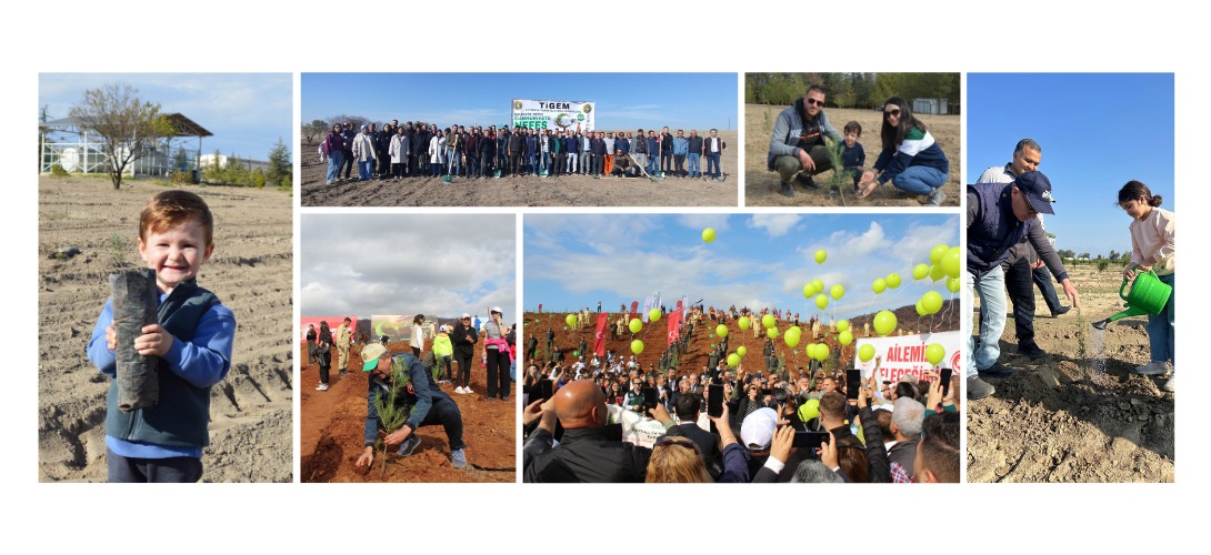 TİGEM 166 BİN 800 FİDAN DİKİMİYLE YEŞİL VATAN SEFERBERLİĞİNE DESTEK OLDU