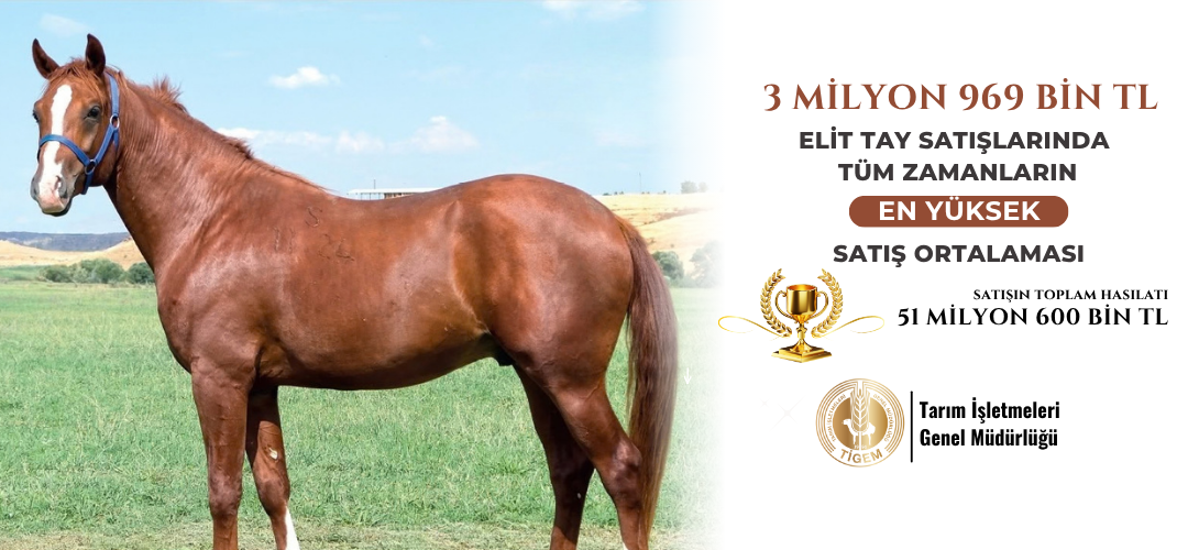 2026 YILININ İLK ELİT TAY MÜZAYEDESİ GERÇEKLEŞTİRİLDİ