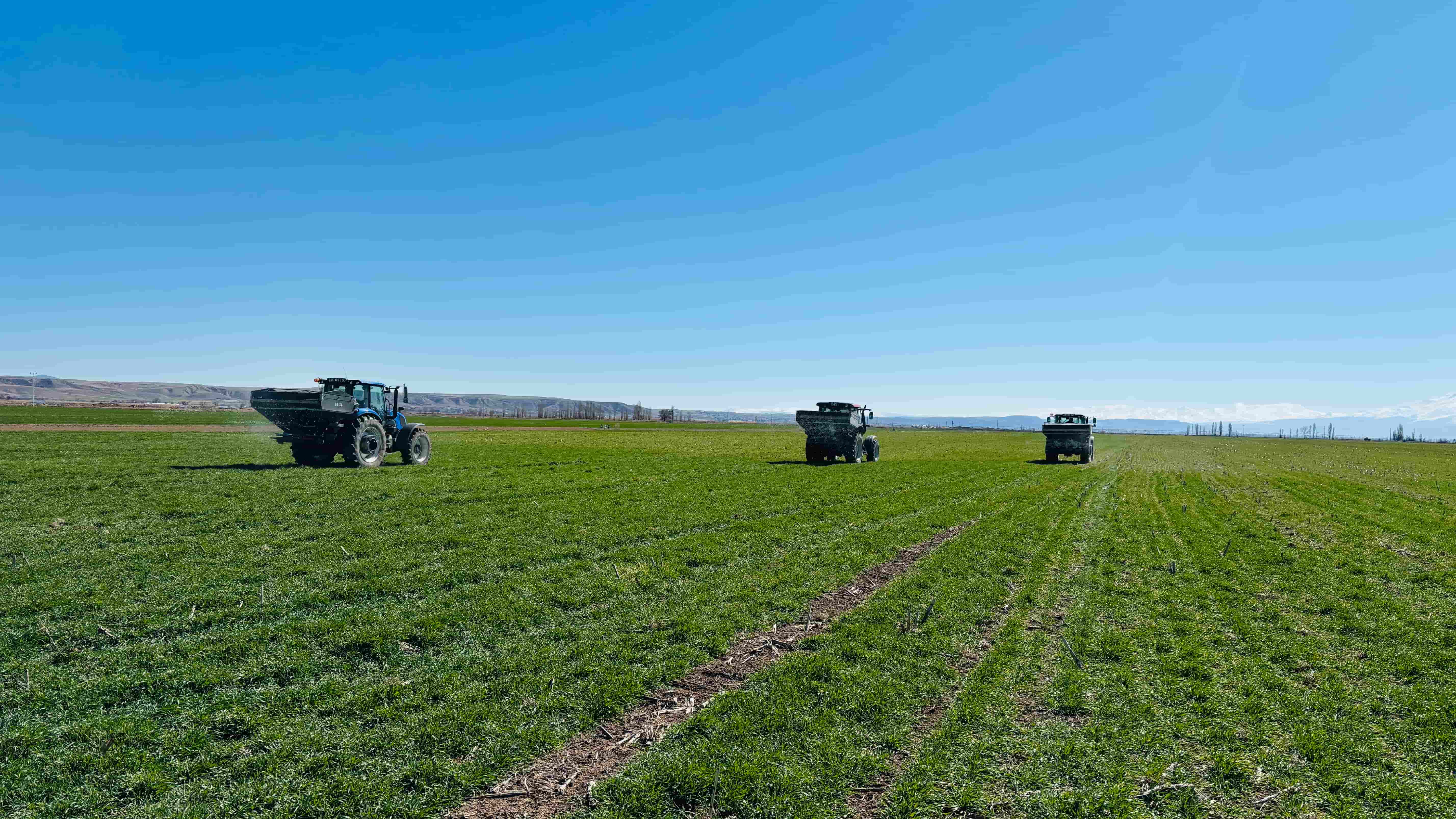 KOÇAŞ TARIM İŞLETMESİNDE GÜZLÜK EKİLİŞ ALANLARINDA ÜST GÜBRELEME ÇALIŞMALARI BAŞLADI