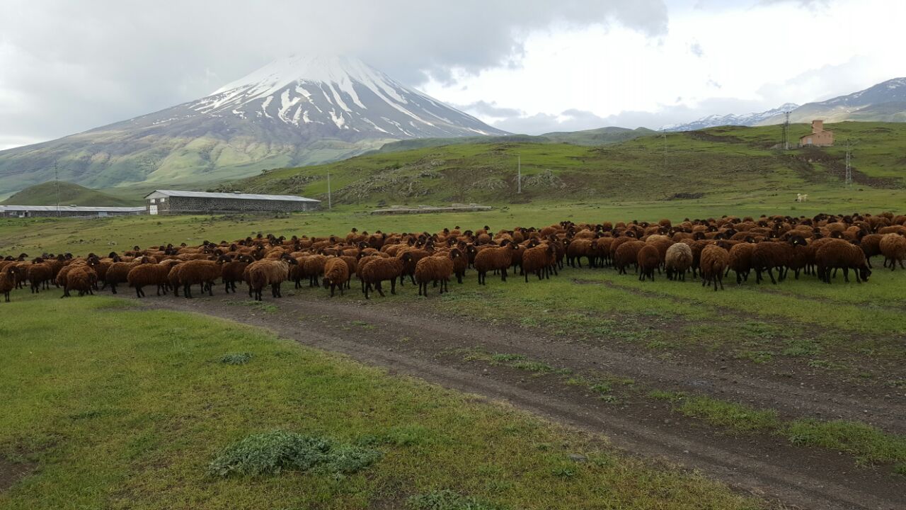 Kazımkarabekir Tarım İşletmesi Müdürlüğü