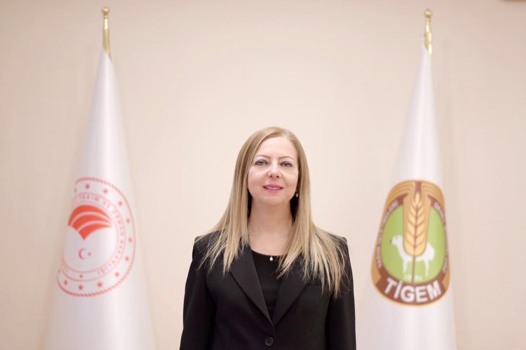Kamer Erturan İbrişim