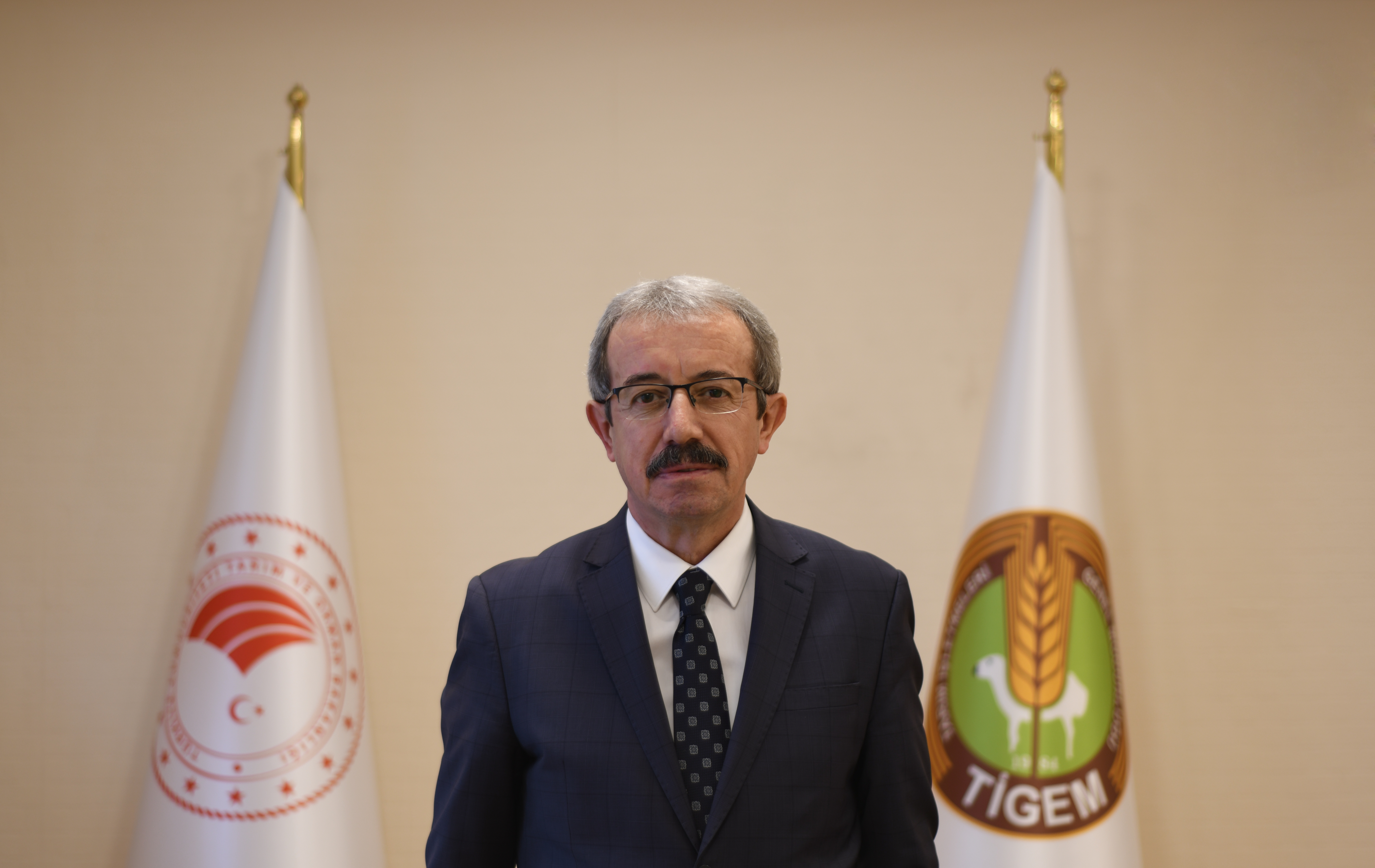 Meydin Taşdemir